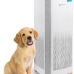 H13 Medical Grade True HEPA Air Filter