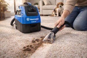 Eureka Portable Carpet Cleaner Review: Better Than Bissell? (2026)